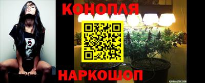 гашик Нягань