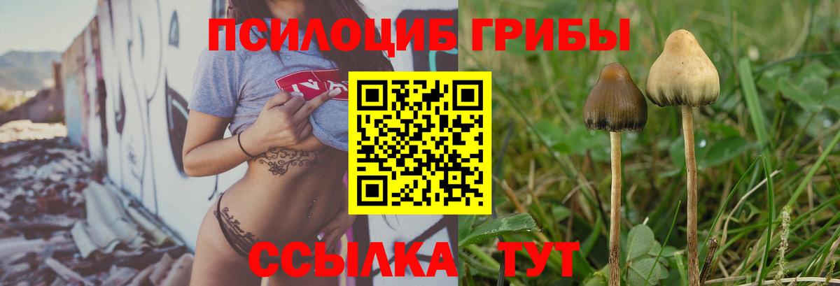 Псилоцибиновые грибы мухоморы Среднеуральск